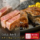 【送料無料】くまもと あか牛 ステーキ&ハンバーグ食べ比べセット 合計1,100g 熊本県産 赤身 ヘルシー 高タンパク 肉汁 ジューシー 熊本県産 ブランド ...