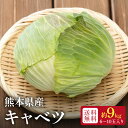 熊本県産 キャベツ 9kg【6~10玉】|甘み濃厚&ビタミン豊富 サラダ・ロールキャベツ・野菜炒めに 送料無料