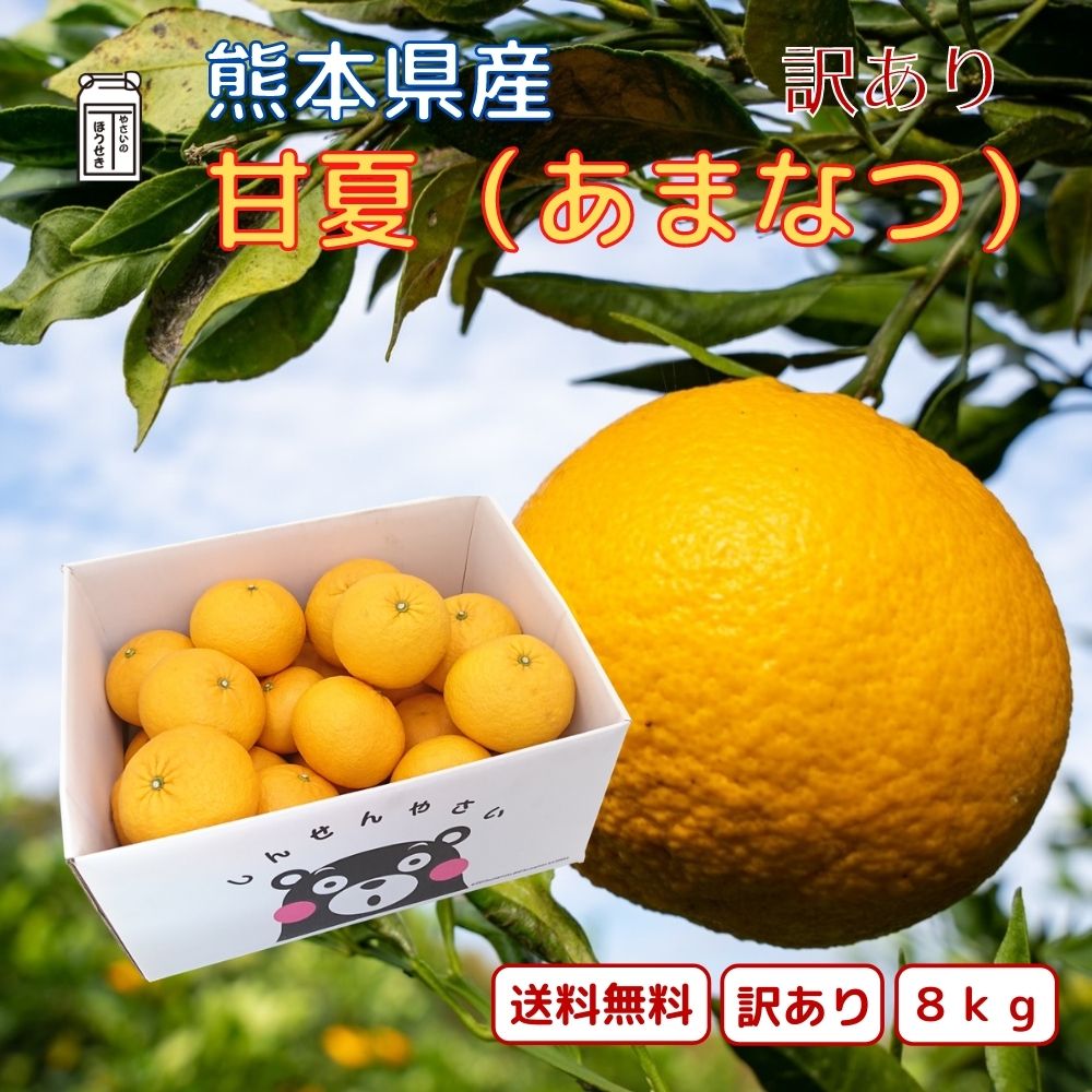 訳あり柑橘 熊本県産 甘夏 (あまなつ) 減農薬 約8kg [送料無料/産地直送/同梱不可]