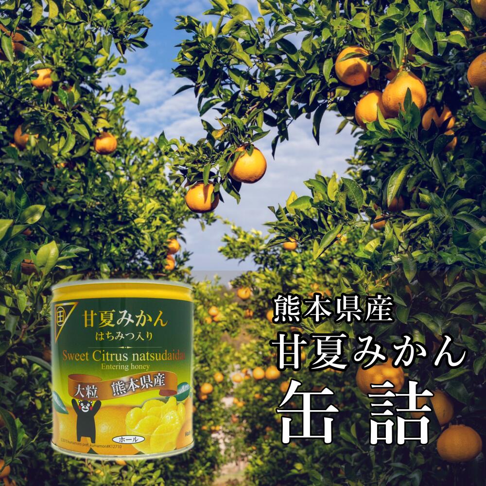 熊本県産 甘夏みかん缶詰12缶 はちみつ入り【送料無料】あま