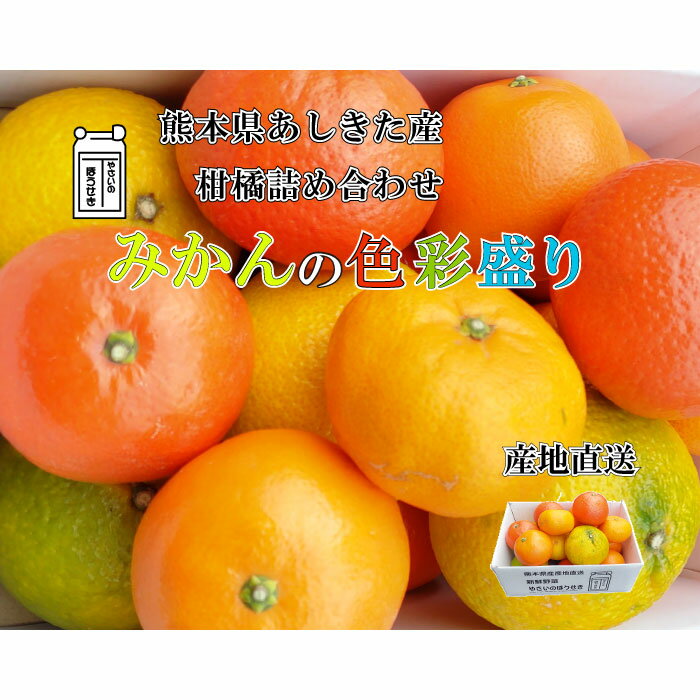熊本県あしきた産 おまかせ美味しいみかん詰め合わせセット期間限定 【送料無料】産地直送ミカン柑橘王国みかん盛り 2キロ 5キロ 3～5品種おいしい柑橘類盛り合わせデザート おやつ ギフト 高級スイーツ贈り物 お中元 お歳暮 お礼 お祝いのサムネイル