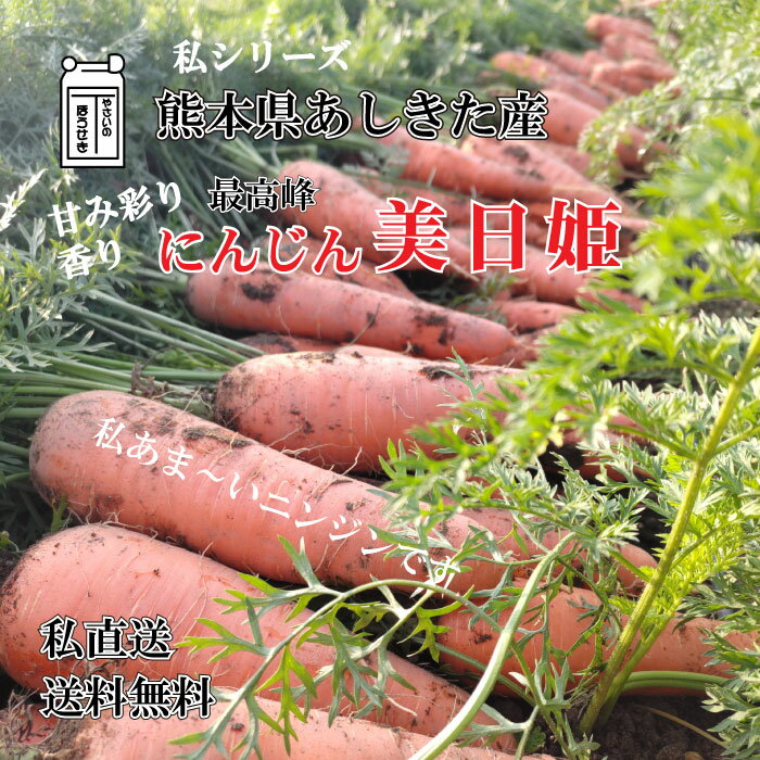 フルーツにんじん 美日姫 熊本県芦北産 農家直送 甘いニンジン 【2キロ】【3キロ】【5キロ】 【送料無料】農薬不使用 化学肥料不使用 人参 皮ごとサラダジュース 炒め物 煮物 甘い人参 おやつ 高級野菜贈り物 お中元 お歳暮 お礼 お祝い