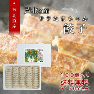 カリもちっ餃子 100個【送料無料チルド代込み】熊本県産サラたまちゃん入りギョーザ 100個入り熊本県芦北町でしか作られていない唯一無二の高級餃子