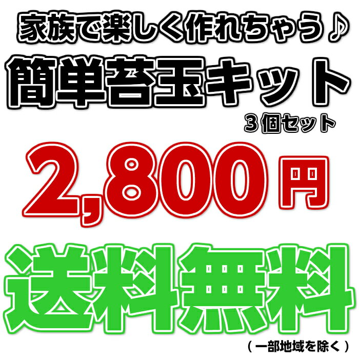 苔 苔玉 おうち 手作り 【 苔玉キット (小) 3個 セット】 直径約6cm 天然 コケタマ 材料 イベント 作り方 説明書付 3