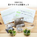 天然苔テラリウム作製キット 直径約12cm
