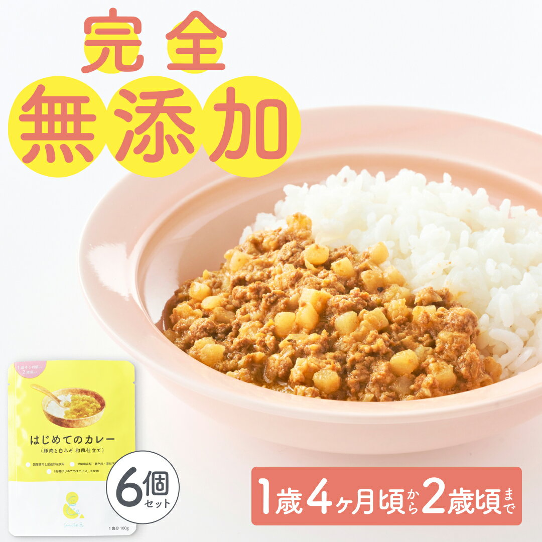 100g×6袋 レトルトカレー カレーレトルト はじめてのカレー（豚肉と白ねぎの和風仕立て）無添加 小麦粉不使用 国産素材 国産野菜 有機スパイス 辛味成分ゼロ カレーデビュー 辛くない甘口 幼児食 こども用カレー子供カレー 非常食 保存食【1歳4ヶ月頃〜2歳0ヶ月頃まで】