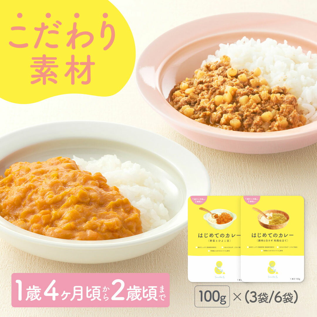 100g×(3袋/6袋) レトルトカレー カレーレトルト はじめてのカレー（野菜とひよこ豆/豚肉と白ネギの和風仕立て 小麦粉不使用 国産野菜 有機スパイス カレーデビュー 辛くない 甘口 幼児食 こども用カレー 子供向け 非常食 保存食【1歳4ヶ月頃～2歳0ヶ月頃まで】 1