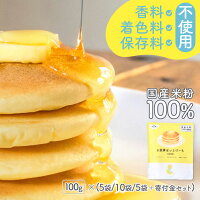【ランキング入賞】100g×(5袋/10袋) 米粉 ホットケーキミックス パンケーキミック...