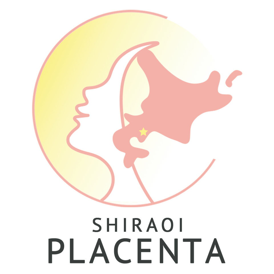 Shop icon
