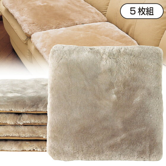 ࡼȥ󥯥å 53 5ȡڥࡼȥ󥯥å ࡼȥ եå ࡼȥ󥷡  