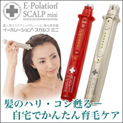 イーポレーション・スカルプ ミニ（本体1台）【頭皮ケア　育毛エレクトロポレーション　育毛器具　薄毛　女性　男性　分け目　つむじ　スカルプケア　頭皮エステ　抜け毛　防ぐ　機器　機械】