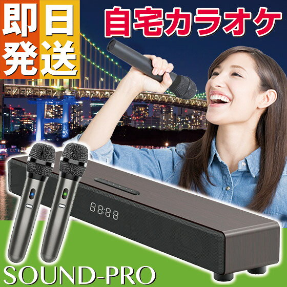 楽天市場】カラオケセット 家庭用（楽器・音響機器）の通販
