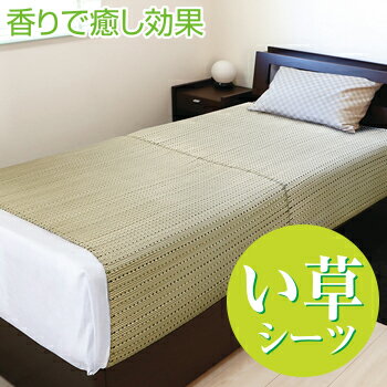 い草 シーツ い草2枚合わせシーツ 【 シーツ シングル 涼感シーツ 布団カバー い草マット い草ラグ い..