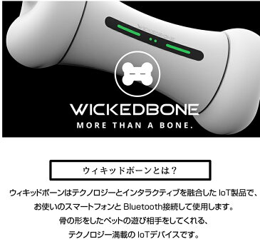 ペット おもちゃ ウィキッドボーン 犬 猫 留守番 【 WICKED BONE 動く おもちゃ ペット 遊ぶ プレゼント 自動 運動 電動 ラジコン スマートフォン スマホ アプリ スマホ操作 Bluetooth 玩具 追いかける 逃げる 犬のおもちゃ 愛犬 愛猫 犬用 猫用 Pet ペット用品 】