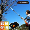 3m コードレス高枝電動のこぎり ライト YARD FORCE ヤードフォース 高枝 のこぎり 充電式 バッテリー式 高枝切りチェーンソー 高枝切り 電動 高枝...