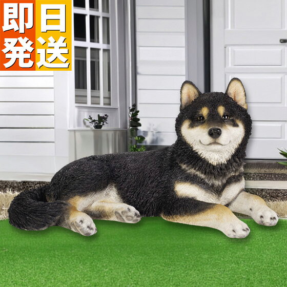 楽天市場】柴犬 置物 リアルの通販