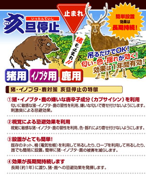 亥旦停止 猪用100枚 猪 対策 グッズ 【 イノシシ対策 臭い 唐辛子 イノシシ撃退 いったんていし イノシシ被害 カプサイシン 忌避剤 猪対策 作物 侵入 防止 イノシシ対策用品 フェンス ネット 猪よけ対策 】