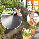 ミストシャワー ミストdeクールシャワー チューブタイプ 15m 噴霧ノズル10個 屋外用ミストシャワー ミストシャワー ミスト発生器 ミストシャワー 屋外 外...