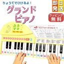 【楽天1位！】デラックスアップライトピアノ　Hape　ドイツ