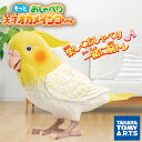 もっとおしゃべり 天才 オカメインコちゃん おしゃべり ぬいぐるみ 音声認識人形 介護用品 会話ロボット ペット 動物 ペットロボ ロボット 敬老の日 母の日 ...