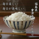 『玄米』令和5年度新米！福島県 会津産 コシヒカリ 10kg 玄米