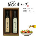 夏ギフト 食用オリーブオイル 極実オリーブ 【完熟・早摘み 計2本入】 【完熟 2本入】 【早摘み 2本入】 スペイン産 エキストラヴァージンオイル オレイン酸...