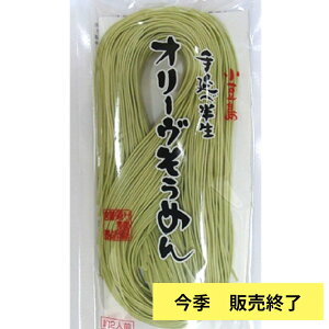 夏季終了につき販売停止 小豆島 素麺 手延べ 半生 オリーヴ そうめん 創麺屋 半生麺 オリーブ ソーメン 小豆島素麺 香川名物 約2人前 簡単 時短 手延べ オリーブ 温かい にゅう麺 プチギフト あす楽対応