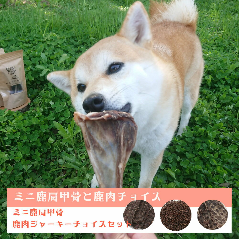 【国産ボーンガム 小型犬 無添加】