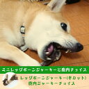 【国産 無添加 鹿骨ガム】鹿のミニレッグボーンジャーキー(半分カット) 鹿肉ジャーキー 骨 ガム 無添加 鹿骨 ボーン 犬 ガム 無添加 骨 ガム ジャーキー 鹿肉 ドックフード 国産 中型犬 小型犬 デンタルケア 鹿骨 鹿骨 骨のおやつ ジビエ 犬アレルギー