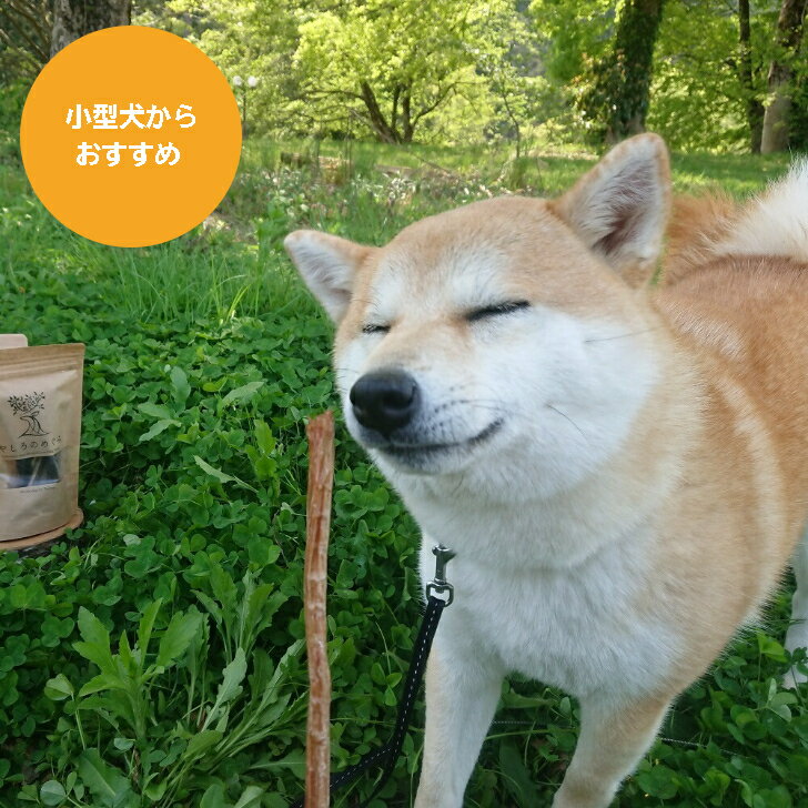 【送料無料 無添加 低アレルゲン 国産】 長持ち コスパgood ジャーキー 犬用 鹿 アキレス腱ジャーキー 35g 犬おやつ 犬用 鹿 ジャーキー 無添加 ドックフード アキレス腱のおやつ 希少部位 鹿の内臓 ペット用長持ちおやつ 犬 デンタルケア 犬 アキレス腱 犬ガム 犬 ジビエ