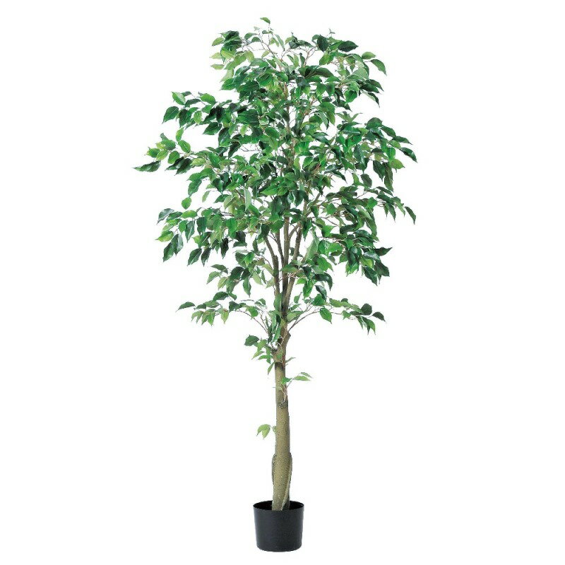 人工観葉植物 ファイカスツリー （ポット付き） グリーン 高さ175cm （P285-a50867) （代引き不可） インテリアグリーン フェイクグリーン