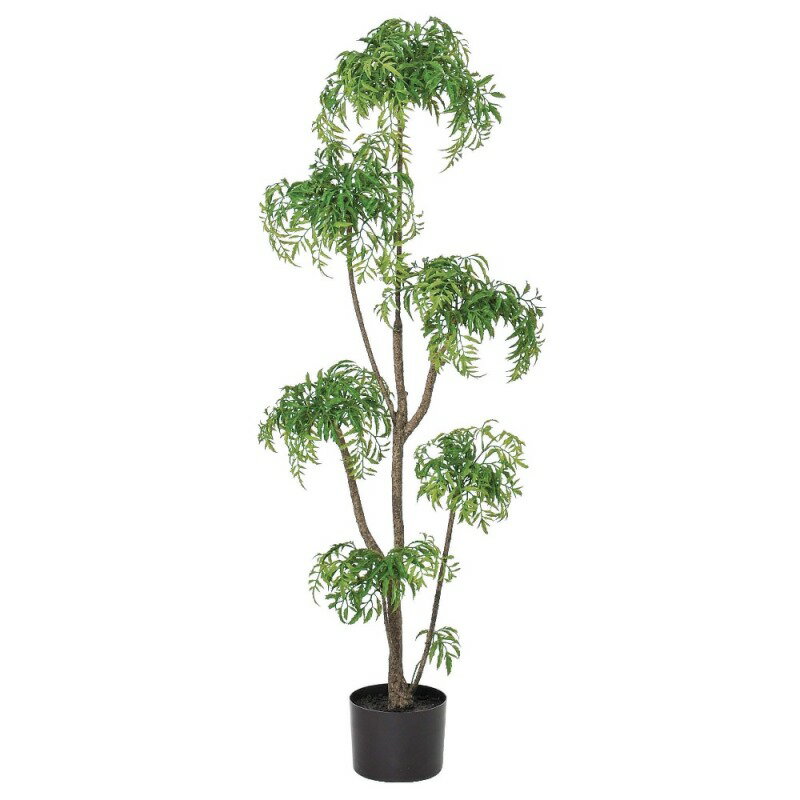 人工観葉植物 アラリア （ポット付き） グリーン 高さ120cm （P295-a50907) （代引き不可） インテリアグリーン フェイクグリーン
