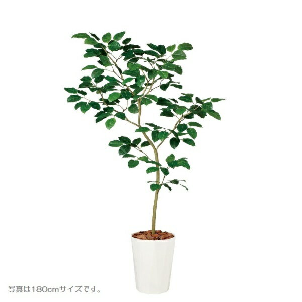 人工観葉植物 ベンガルボダイジュ FST 150cm 高さ150cm （P208-dt99116) （代引き不可） インテリアグリーン フェイクグリーン 1