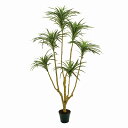 人工観葉植物 ユッカプラント ×6 高さ135cm (P203-fg11544) (代引き不可) インテリアグリーン フェイクグリーン