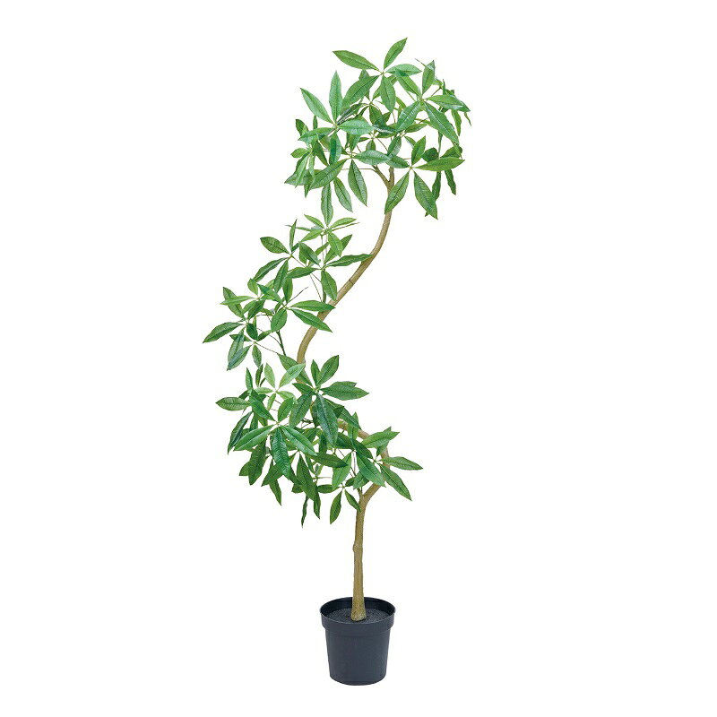 人工観葉植物 パキラ エレガントスパイラル 高さ200cm （P199-fg2255) （代引き不可） インテリアグリーン フェイクグリーン