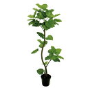 人工観葉植物 ウンベラータスパイラル 5F 高さ150cm (P198-fg5229) (代引き不可) インテリアグリーン フェイクグリーン