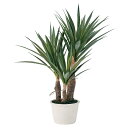 人工観葉植物 ユッカ ミニポット 高さ50cm (P192-fz3293) (代引き不可) インテリアグリーン フェイクグリーン