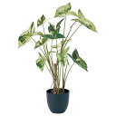 人工観葉植物 アロカシア斑入り ポット 高さ70cm (P193-fz770) (代引き不可) インテリアグリーン フェイクグリーン