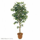 人工観葉植物 ベンジャミンフィカス 150cm 高さ150cm (P207-sk1025) (代引き不可) インテリアグリーン フェイクグリーン