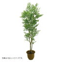 人工観葉植物 ゴールデンリーフ 150cm 高さ150cm (P207-sk2005) (代引き不可) インテリアグリーン フェイクグリーン