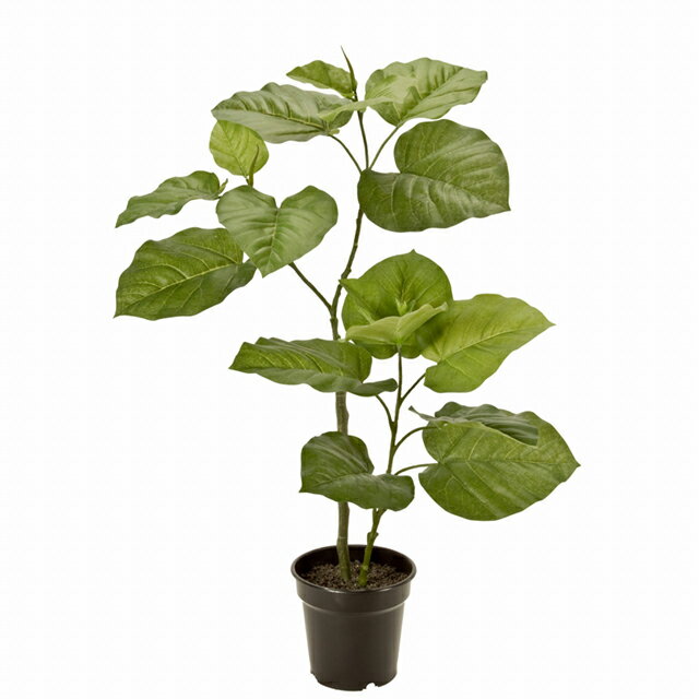 人工観葉植物 ウンベラータ S 光触媒加工 高さ70cm （P193-zv15100) （代引き不可） インテリアグリー..