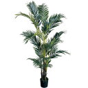 人工観葉植物 ケンチャパーム 光触媒加工 高さ140cm (P204-zv22401) (代引き不可) インテリアグリーン フェイクグリーン