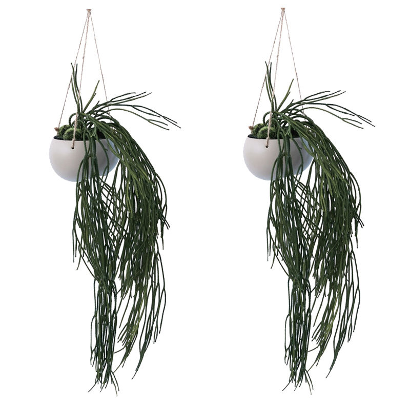 人工観葉植物 リプサリス ハンギング ポット 50（2個入り）991190 吊るしタイプ ハンキンググリーン インテリア フェイクグリーン 造花 HANGING （p130）