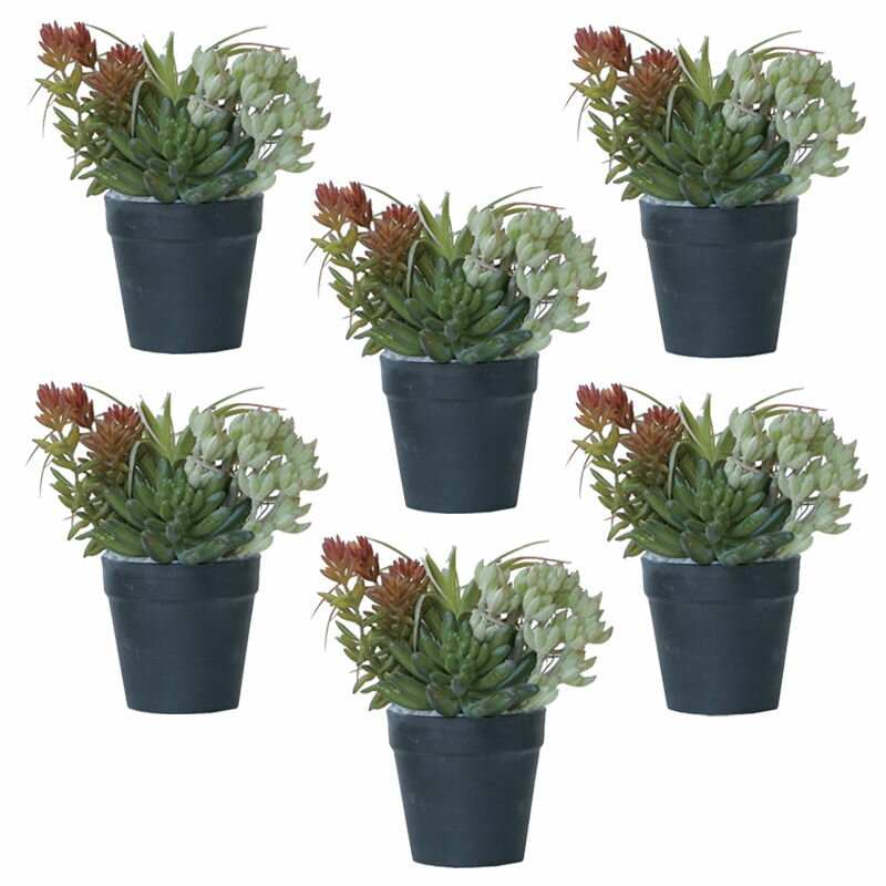 人工観葉植物 ミニアレンジメント ポット SA 21（6個入り）991780 多肉植物 卓上サイズ インテリア フ..
