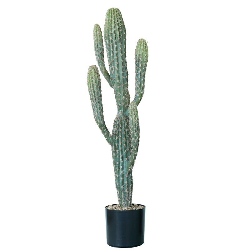 人工観葉植物 柱サボテン ポット 71（1個入り）992191 サボテン 床置きの小さいサイズ インテリア フェ..