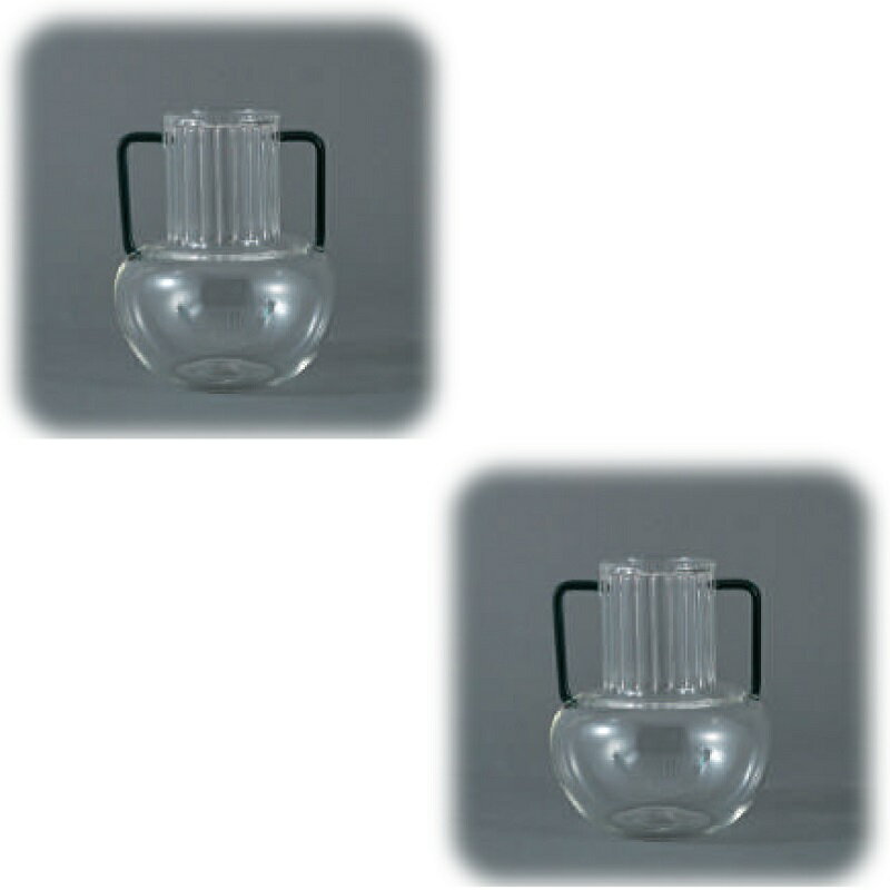 花・観葉植物用ポット アデラ ガラスベイス 12 G VASE （2個入り） 93151 花瓶 （代引き不可） ミニサ..