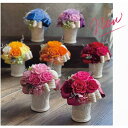 プリザーブドフラワー(ポット) プリザーブドフラワー Presarved Flower Arrangment（no10-1325）Sサイズ 7色から1色を選択 ポット型（3p） 1個入り 高さ110mm クリアケース入り ブリザアレンジ ギフト インテリア