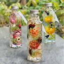 ハーバリウム Herbarium 植物標本(no10-hb27)3色から1色を選択 円柱型(10p) 1個入り 高さ49.3mm 箱入り ブリザアレンジ ギフト...