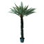 ͹տʪ ǥ˥ݥå1831ġbb480-0 ʪ Բġ ƥꥢ ե꡼ ¤ POT FERN p39