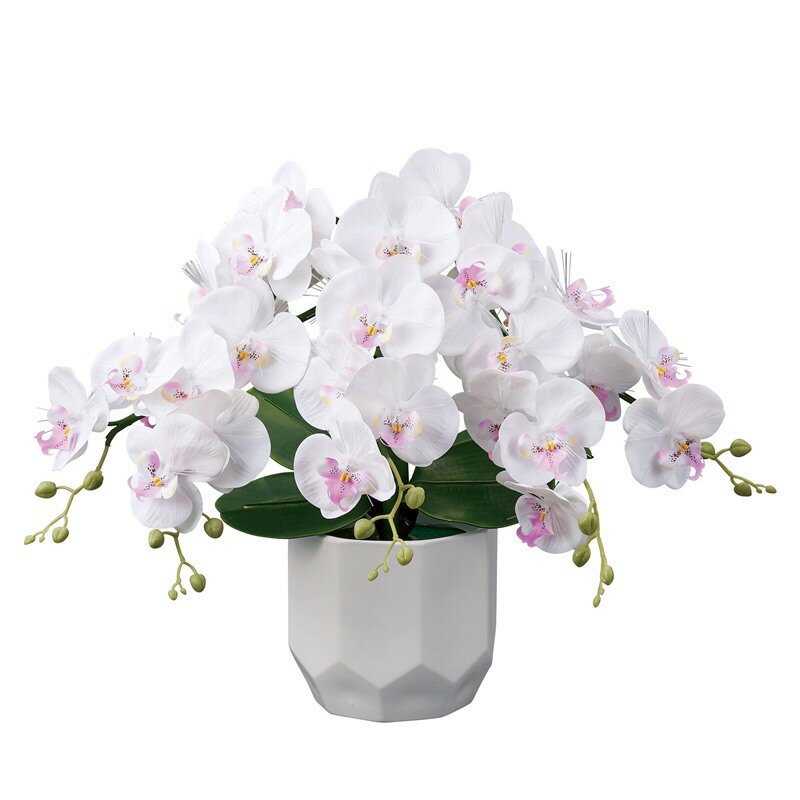 盆提灯 岐阜提灯 花タイプ グランドルミナス STD ラージ胡蝶蘭5本立 高さ51cm (P25)(23834) 七色LED 電気コード式 初盆 新盆 お盆